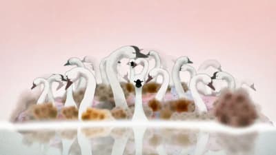 groupe de cygnes