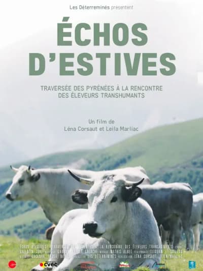 Affiche échos d'estives