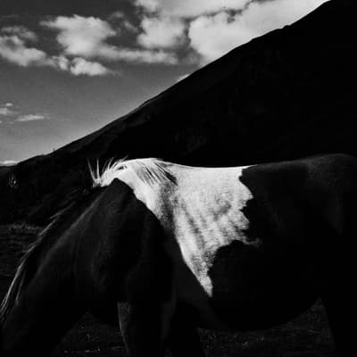 Nuage montagne dos de cheval photo noir et blanc avec du grain Guillaume Nourry 